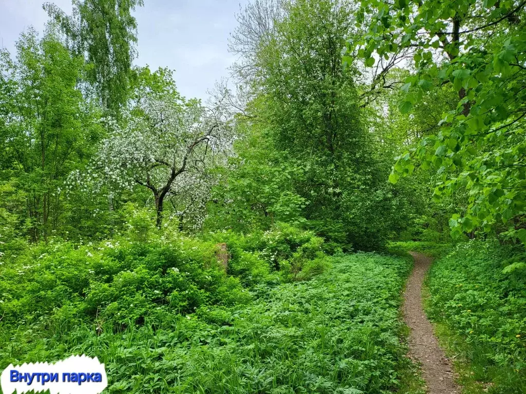 Участок в Санкт-Петербург, Санкт-Петербург, Петергоф Просвещение тер., ... - Фото 1