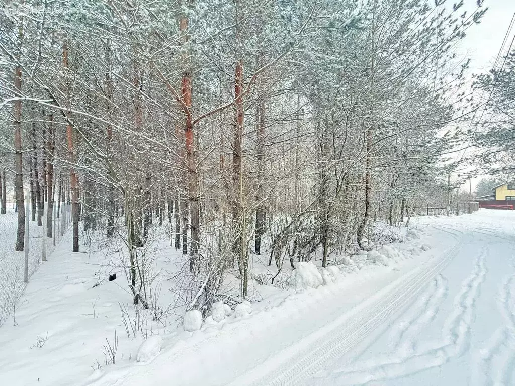 Участок в Воронеж, микрорайон Никольское, улица Глинки (608 м) - Фото 2
