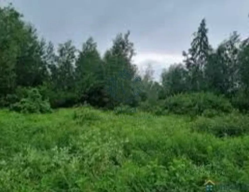 Участок в Краснодарский край, Туапсинский муниципальный округ, с. ... - Фото 0