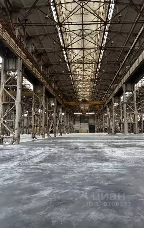 Производственное помещение в Свердловская область, Екатеринбург ул. ... - Фото 1