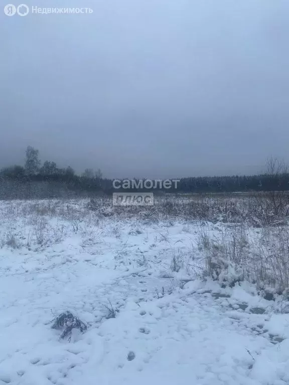 Участок в Московская область, городской округ Солнечногорск (6 м) - Фото 1