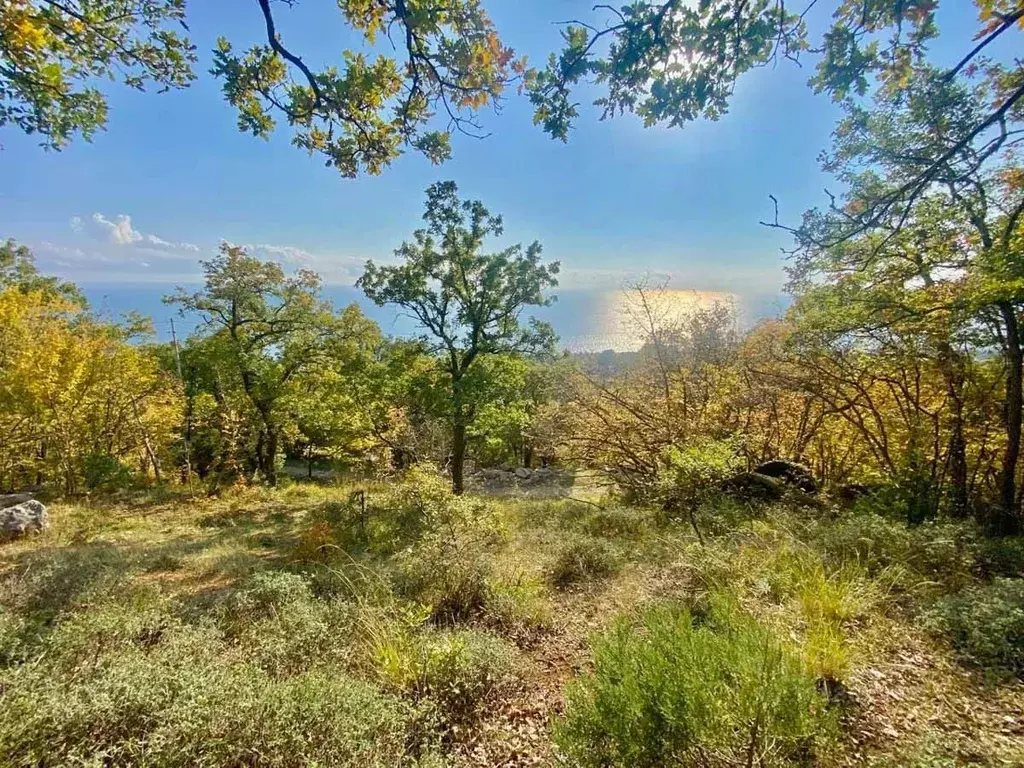 Участок в Крым, Ялта городской округ, Гаспра пгт  (15.0 сот.) - Фото 2