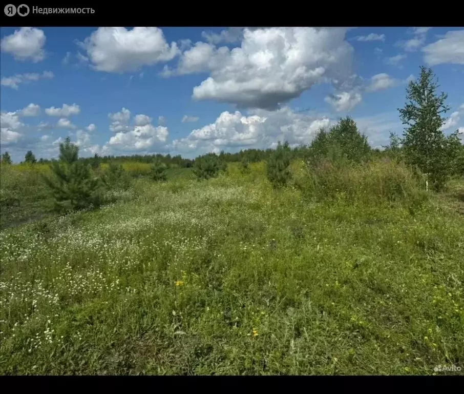 Участок в Колыванский район, СНТ Большая Семья (10 м) - Фото 1