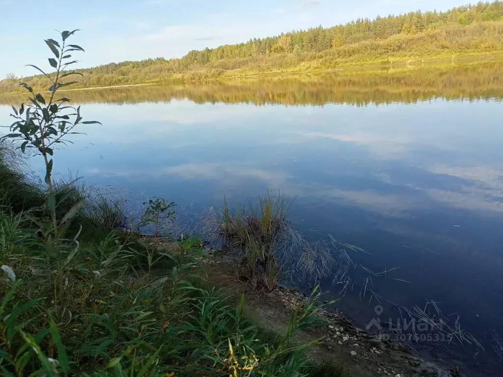 Участок в Нижегородская область, Варнавино рп  (19.0 сот.) - Фото 0