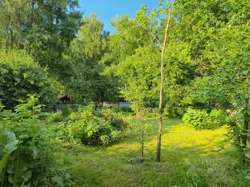 Участок в Московская область, Одинцовский городской округ, с. Усово ... - Фото 2