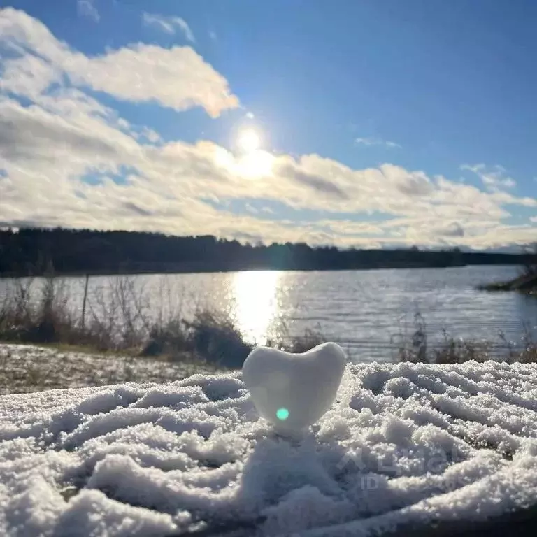 Дом в Тверская область, Кашинский муниципальный округ, д. Семеновское ... - Фото 2
