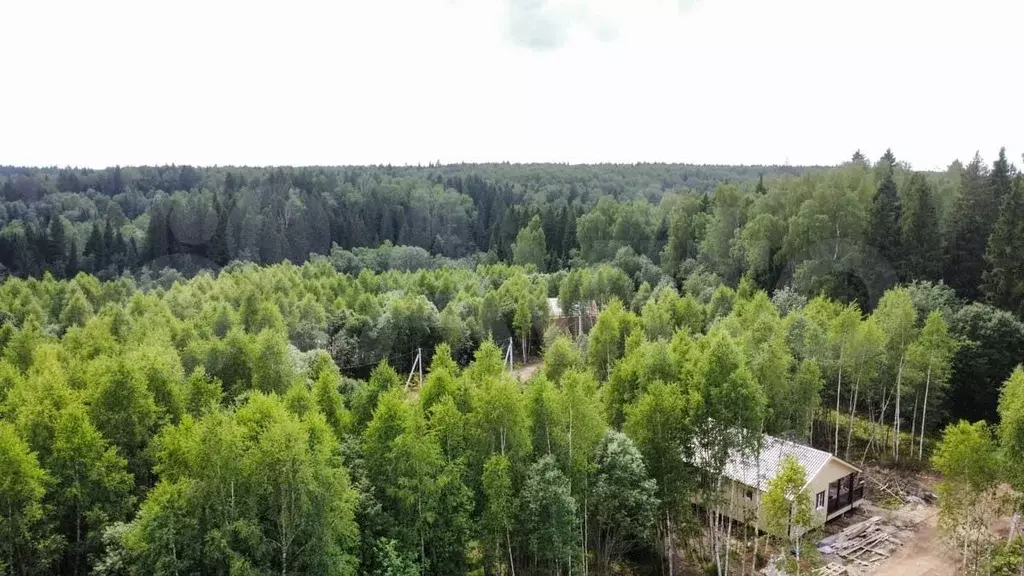 Участок 7 сот. (СНТ, ДНП) - Фото 1