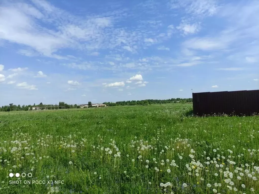 Участок в Владимирская область, Карабаново Александровский район, ул. ... - Фото 0
