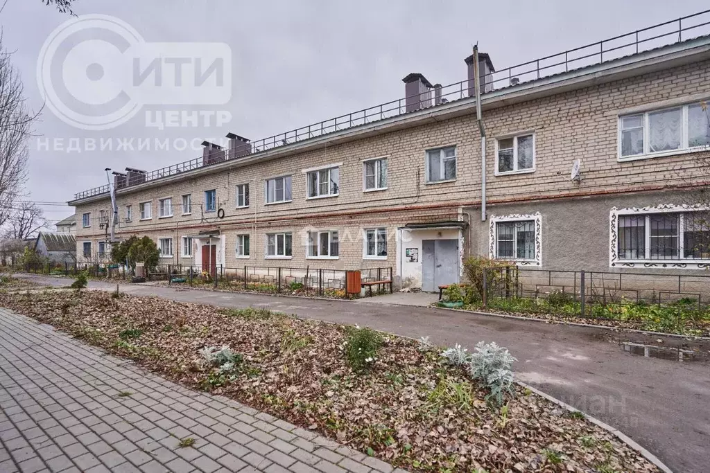 1-к кв. Воронежская область, с. Новая Усмань ул. Юбилейная, 24 (28.0 ... - Фото 1