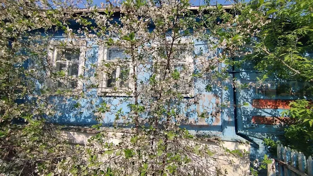 Дом 50 м на участке 22 сот. - Фото 0