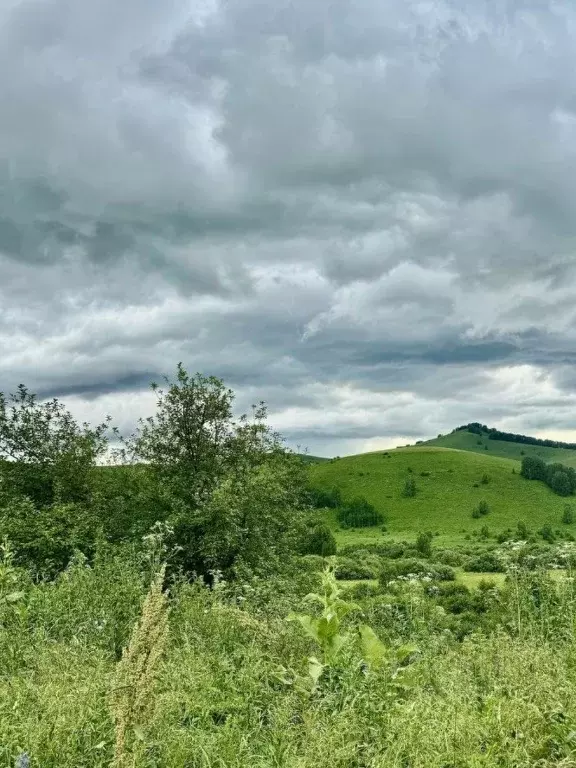Участок в Алтайский край, Солонешенский район, с. Искра ул. ... - Фото 1