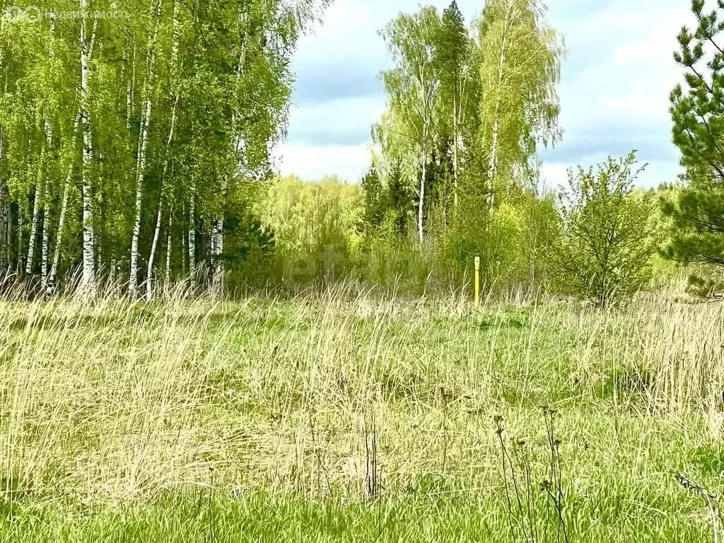 Участок в Ковровский район, муниципальное образование Ивановское, село ... - Фото 1