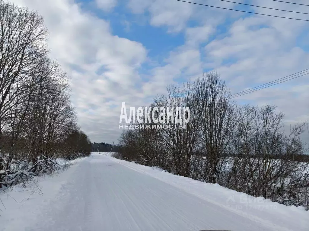 Участок в Ленинградская область, Гатчинский муниципальный округ, ... - Фото 1