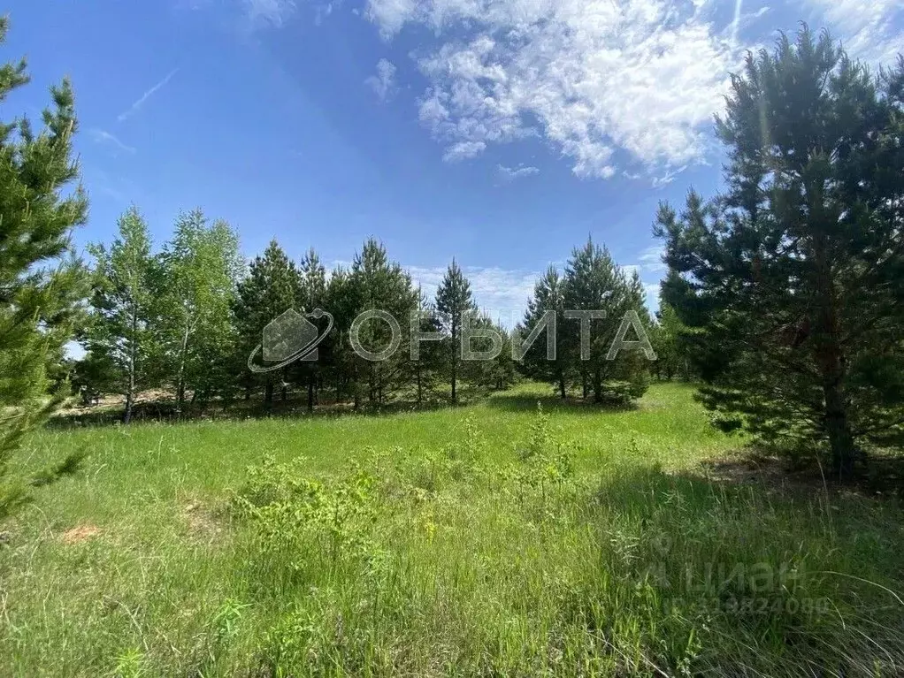 Участок в Тюменская область, Тюменский район, Новокаменский кп  (47.0 ... - Фото 1