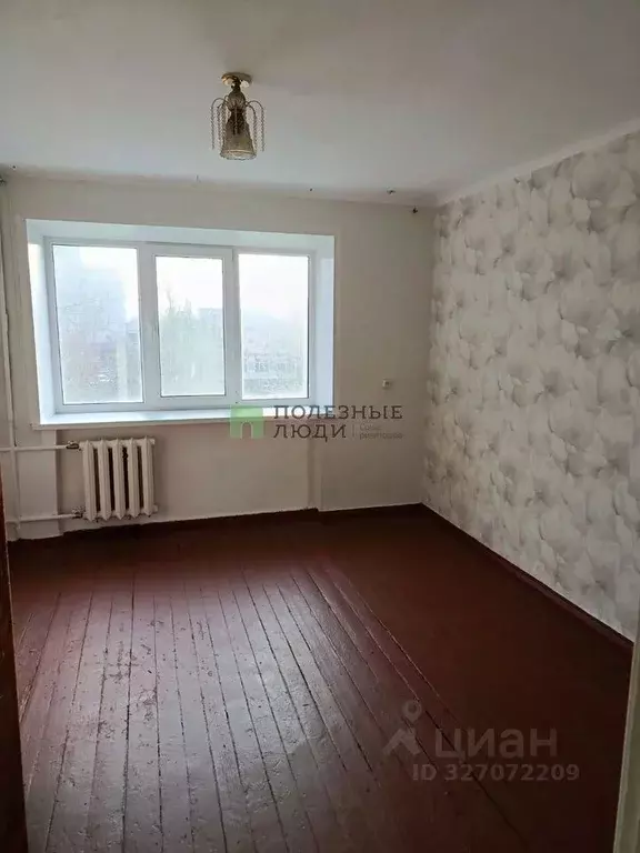 Студия Курганская область, Курган просп. Конституции, 63 (17.8 м) - Фото 1