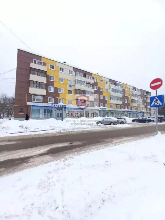 1-к кв. Московская область, Пересвет Сергиево-Посадский район, ул. ... - Фото 2