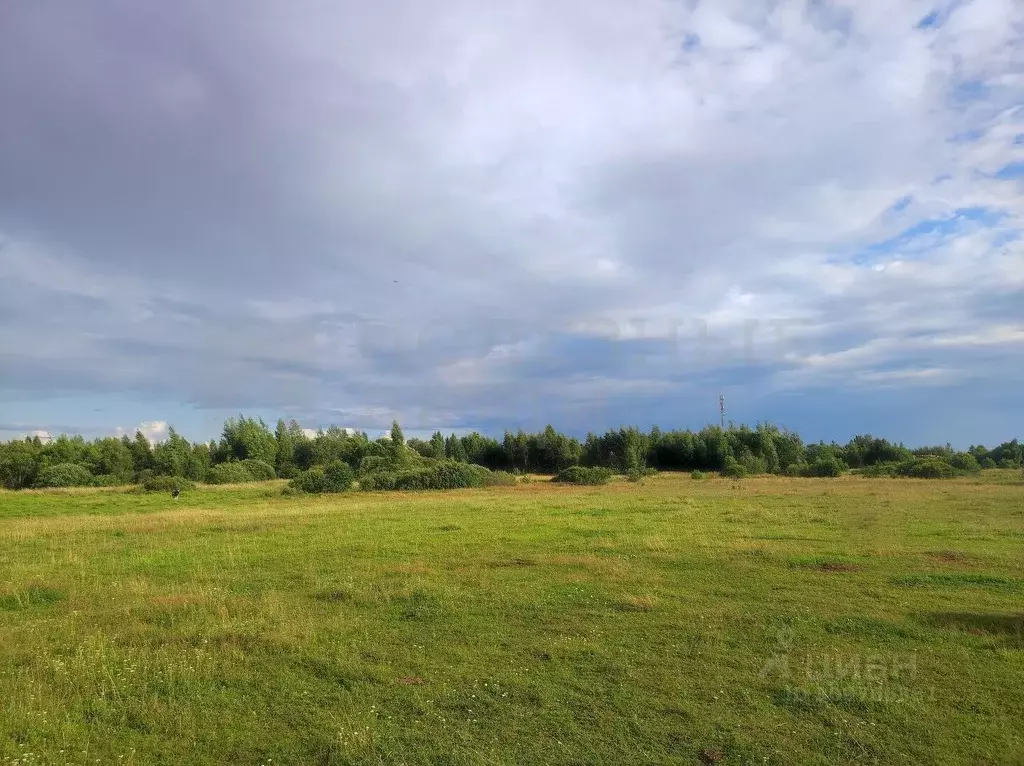 Участок в Новгородская область, Новгородский район, Ракомское с/пос, ... - Фото 1