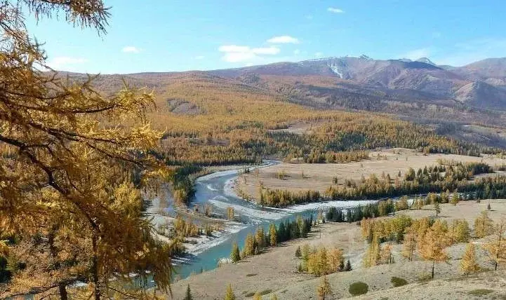 Участок в Алтай, Кош-Агачский район, Джазаторское с/пос, с. Беляши ул. ... - Фото 1