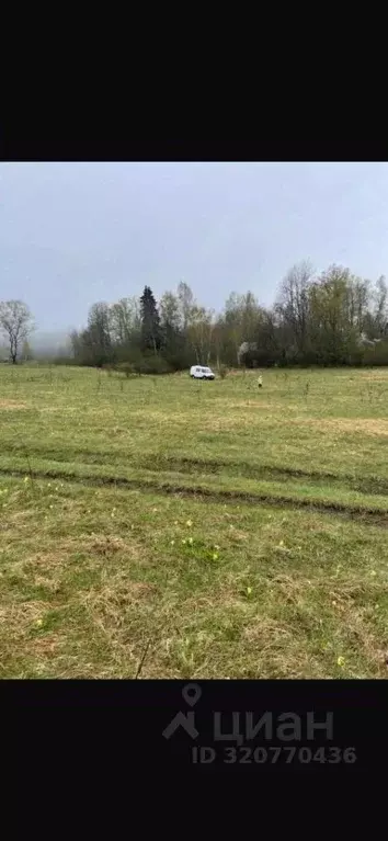 Участок в Ленинградская область, Тосненский район, Трубникоборское ... - Фото 1
