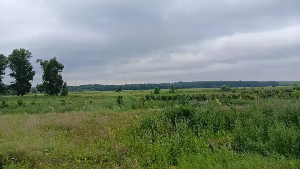 участок в башкортостан, уфимский район, с. булгаково (8.7 сот.) - Фото 1