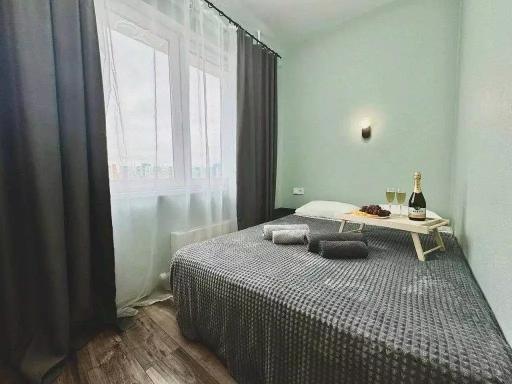 1-к кв. Московская область, Солнечногорск городской округ, Голубое пгт ... - Фото 1