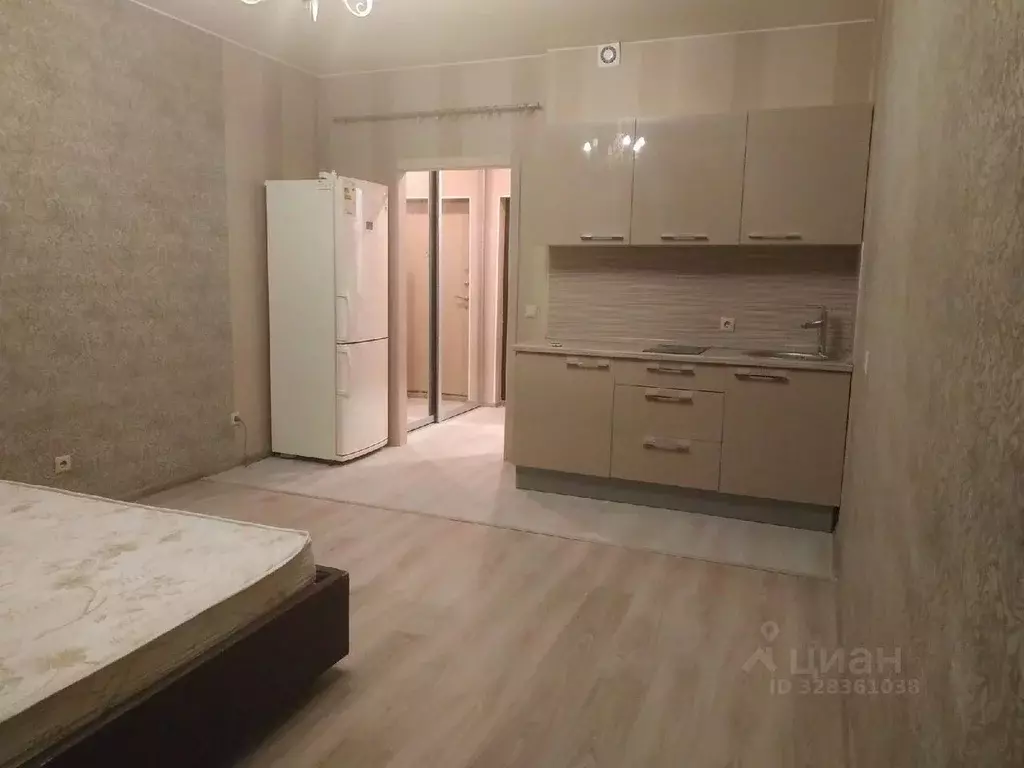 Студия Ленинградская область, Мурино Всеволожский район, просп. ... - Фото 2