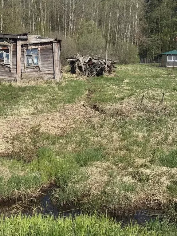 Участок в Московская область, Егорьевск муниципальный округ, д. ... - Фото 2