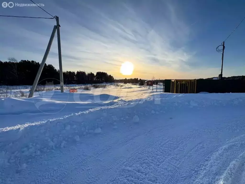 Участок в Тюменский муниципальный округ, деревня Криводанова (7.1 м) - Фото 2