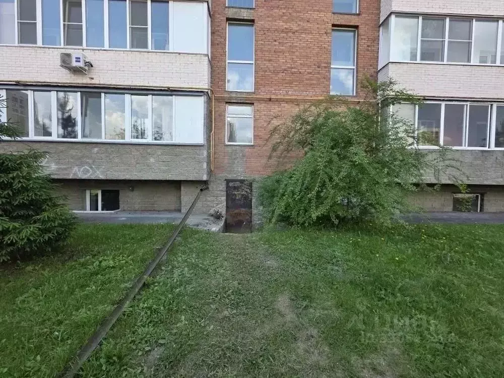 Помещение свободного назначения в Омская область, Омск ул. Крупской, ... - Фото 2