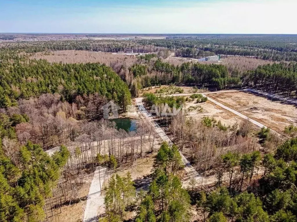 Участок в Владимирская область, Судогодский район, Вяткинское ... - Фото 1