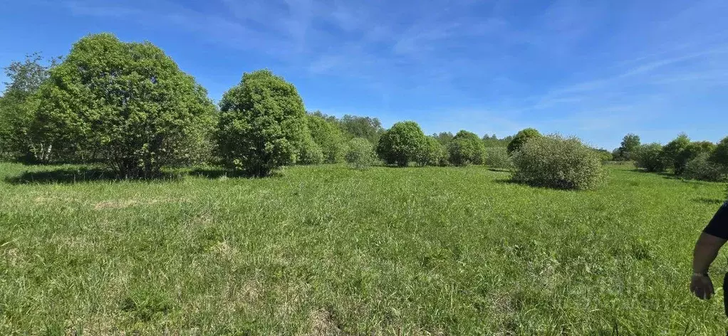 Участок, 34 сот., фермерское хоз-во - Фото 1