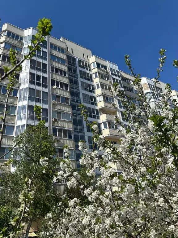 1-к кв. Саратовская область, Энгельс Рабочая ул., 125а (49.4 м) - Фото 1