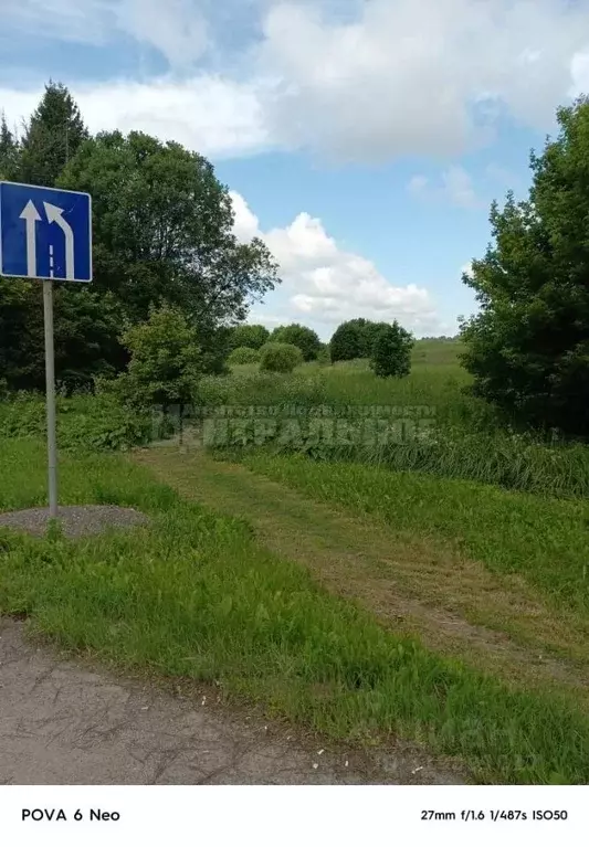 Участок в Смоленская область, Смоленский муниципальный округ, д. ... - Фото 0