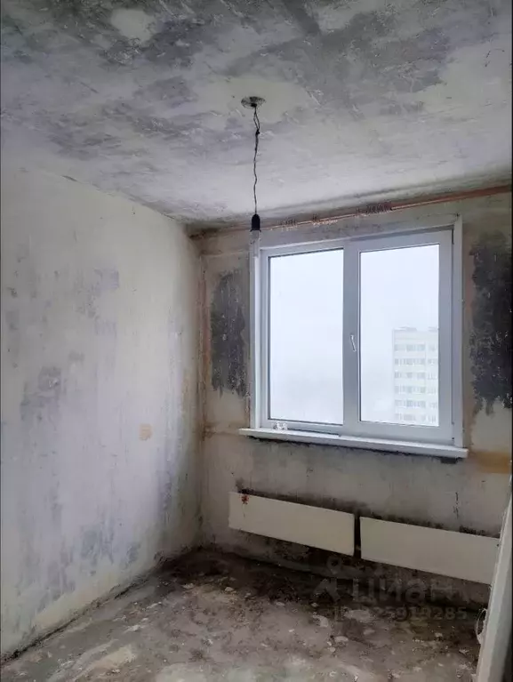 2-к кв. Самарская область, Тольятти Приморский бул., 33 (43.6 м) - Фото 2