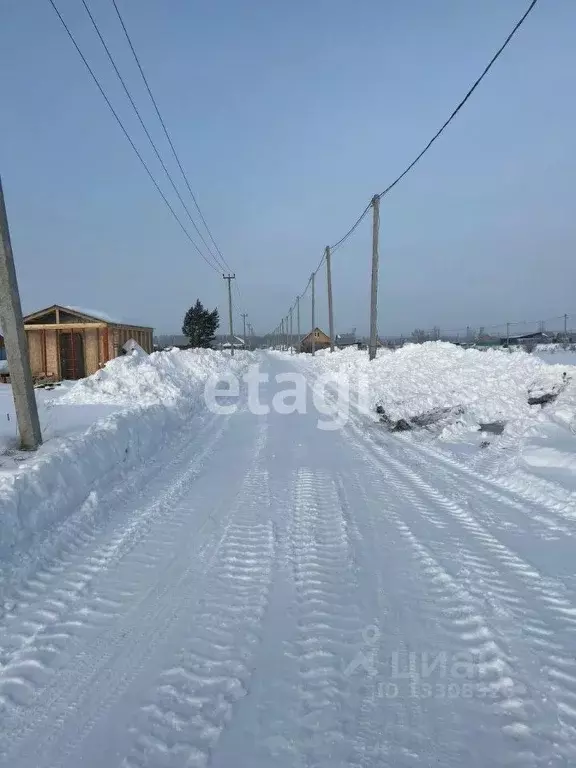 Участок в Новосибирская область, Тогучинский район, Биолог СТ ул. ... - Фото 0