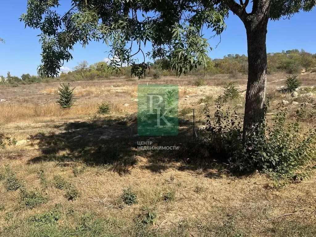 Участок в Челябинская область, Сосновский муниципальный округ, Надежда ... - Фото 1