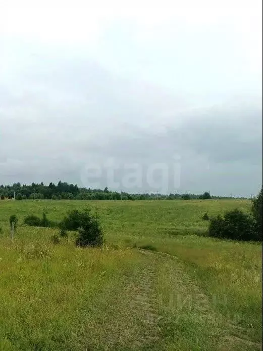 Участок в Вологодская область, д. Киндеево  (25.0 сот.) - Фото 1