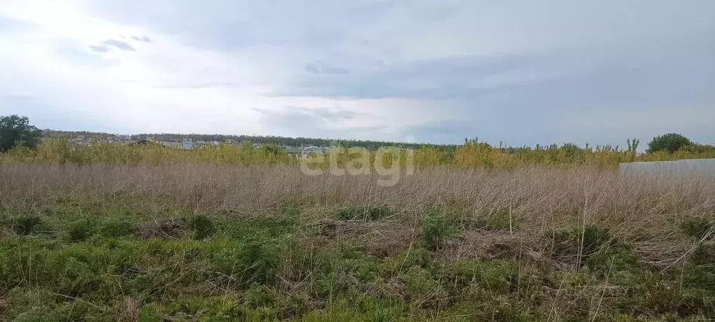 Участок в Воронежская область, Семилукский район, с. Девица, Поречье-2 ... - Фото 1