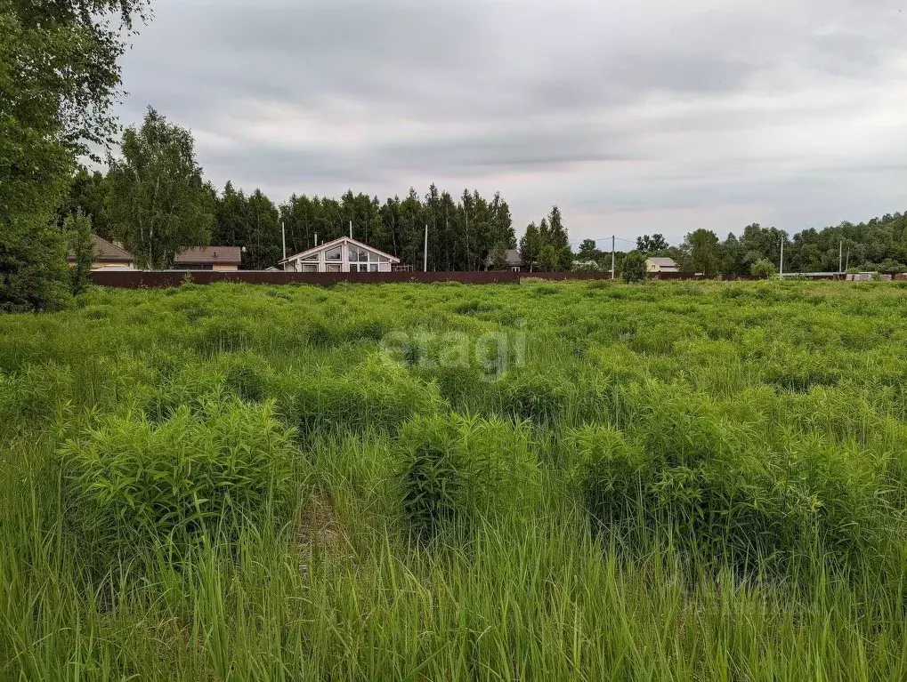 Участок в Тульская область, Тула городской округ, с. Барыково  (15.0 ... - Фото 1