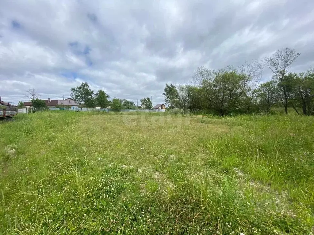 Участок в Сахалинская область, Анивский городской округ, с. Мицулевка ... - Фото 1