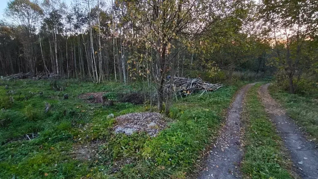 Участок в Московская область, Рузский муниципальный округ, д. ... - Фото 2