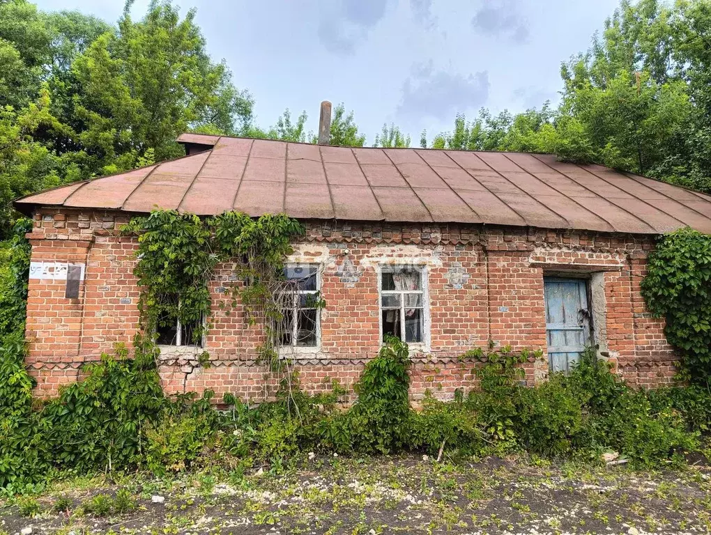 Дом в Липецкая область, Добровский муниципальный округ, с. Каликино ... - Фото 1