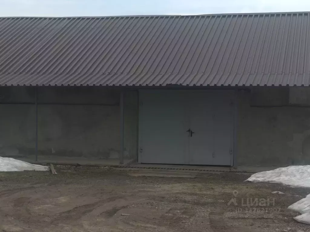 Помещение свободного назначения в Московская область, Раменский ... - Фото 1