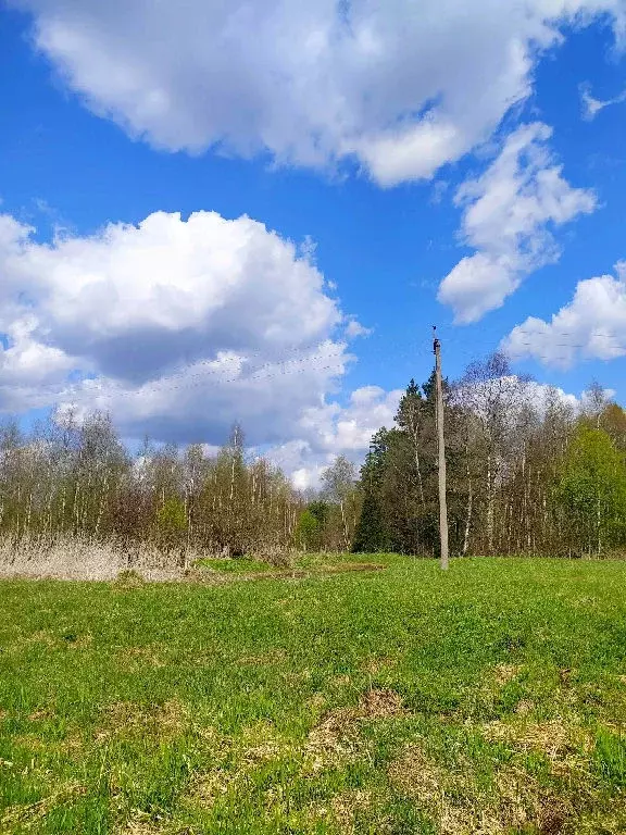 Продается участок в д. Климово - Фото 2