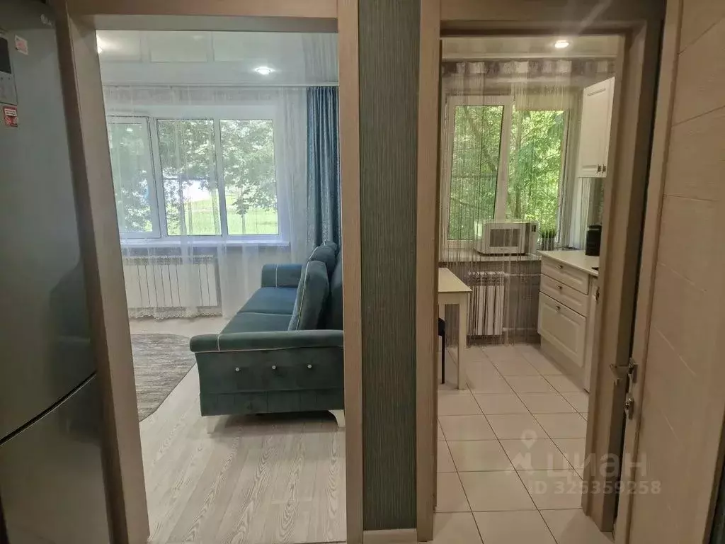 1-к кв. Псковская область, Псков Первомайская ул., 31 (25.0 м) - Фото 2