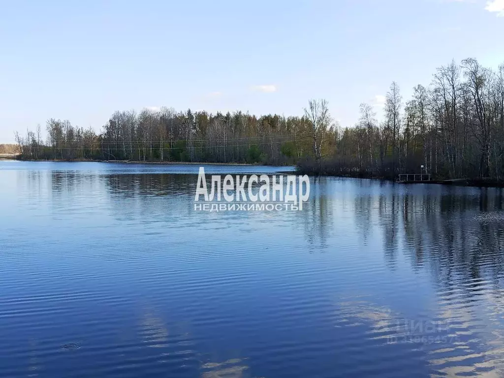 Участок в Ленинградская область, Приозерский район, Ларионовское ... - Фото 0