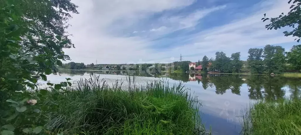 Участок в Тамбовская область, Тамбовский муниципальный округ, Новая ... - Фото 0