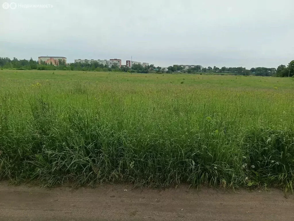 Участок в Волхов, микрорайон Шкурина Горка, квартал Г, 14 (10 м) - Фото 1
