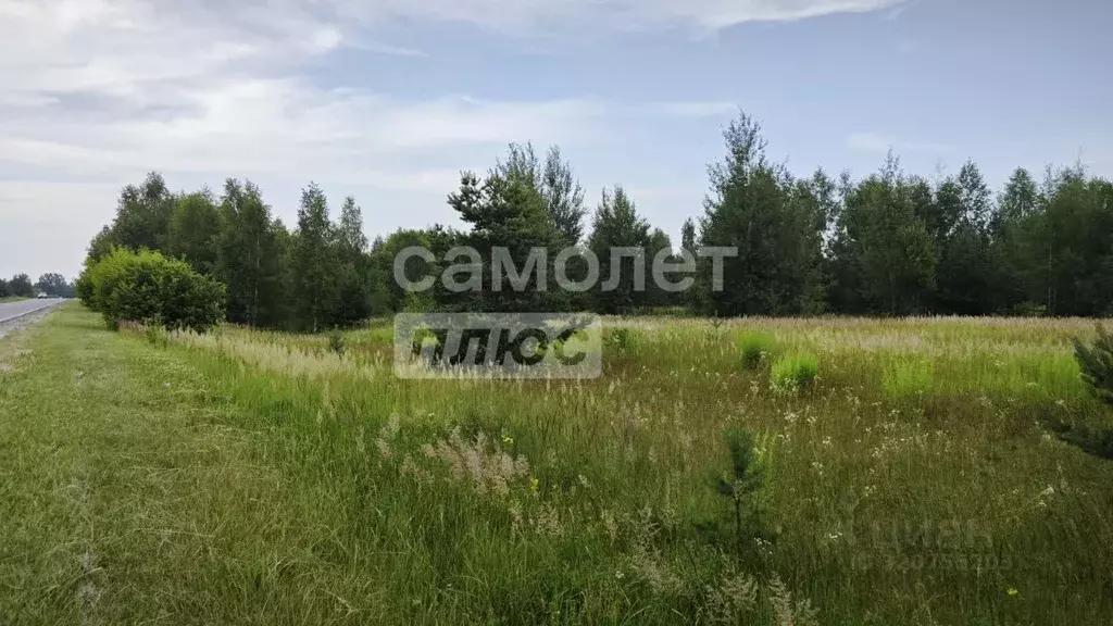 Участок в Нижегородская область, Чкаловск муниципальный округ, д. ... - Фото 1