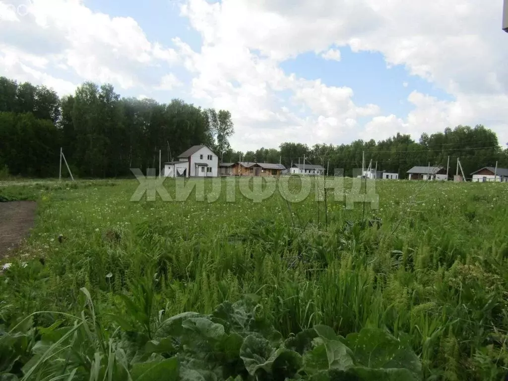 Участок в село Гусиный Брод, микрорайон Идиллия (7.71 м) - Фото 1
